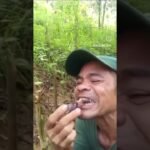 Você teria coragem de comer ? Você teria coragem de comer ?