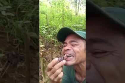 Você teria coragem de comer ? Você teria coragem de comer ?