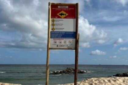 Governo de Pernambuco vai retomar monitoramento de incidentes de tubarão após 11 anos