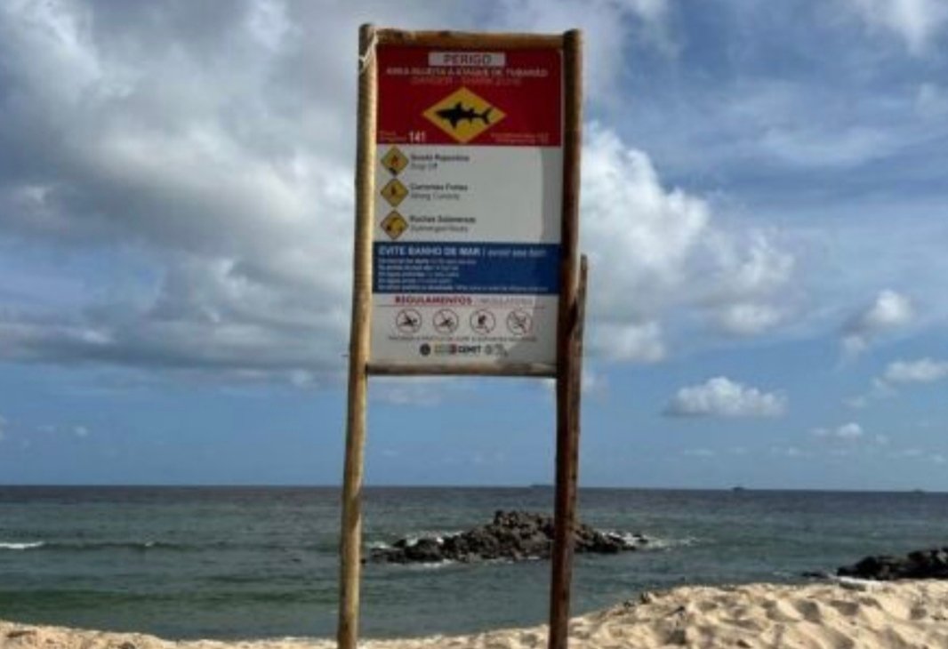 Governo de Pernambuco vai retomar monitoramento de incidentes de tubarão após 11 anos