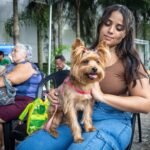Prefeitura de Camaragibe inicia mutirão gratuito para castração de cães e gatos