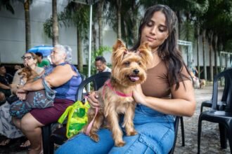Prefeitura de Camaragibe inicia mutirão gratuito para castração de cães e gatos